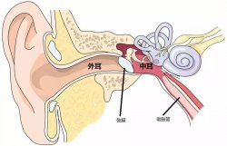 感冒后耳朵疼，小心患上中耳炎！