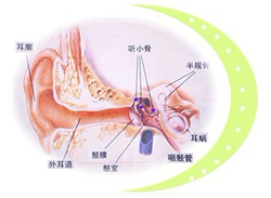 惊！耳朵经常有声响危害大