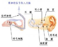 耳鸣到底是怎么回事?